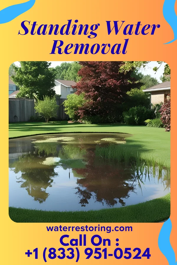 Standing Water Removal in Cambridge, IL